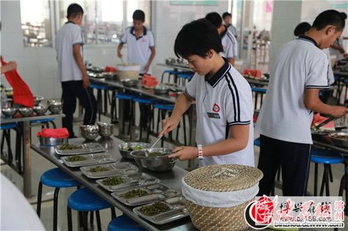 店子鎮(zhèn)中學(xué)榮獲“食安山東”餐飲服務(wù)示范單位稱號(hào)